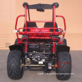 Offroad Adult 2 Seat Racing 150cc Dune Buggy for Sale